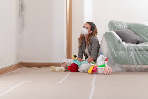 Reliable Commercial Mold Remediation contractor in Joppa, MD by WQB Mold Removal